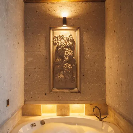 Hostel Alin Stone House *