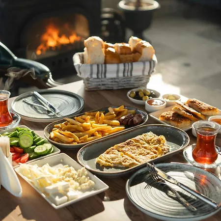 Hostel Alin Stone House *