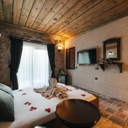 Hostel Alin Stone House