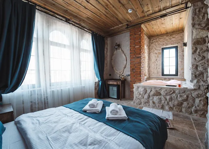 Hostel Alin Stone House