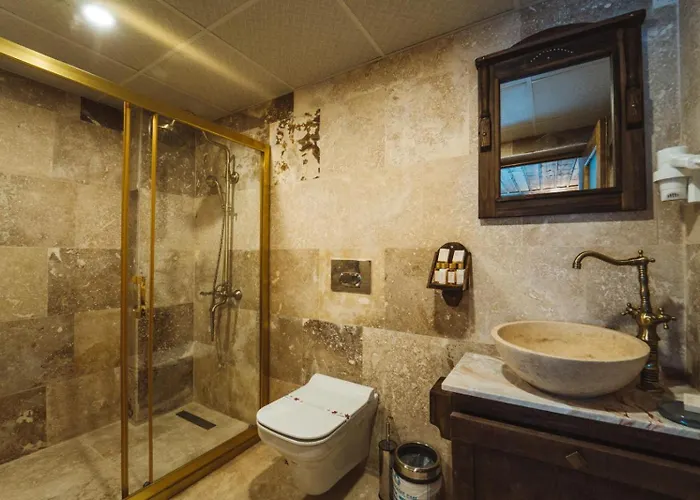 Alin Stone House 内夫谢希尔