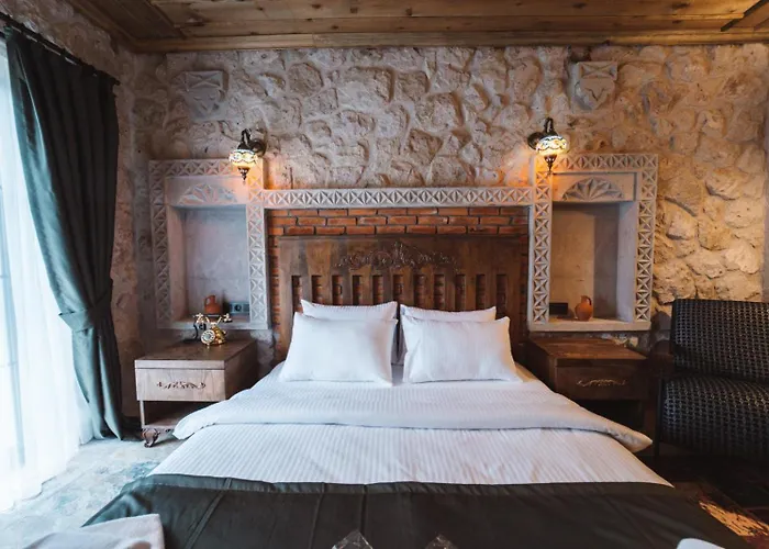 Hostel Alin Stone House *