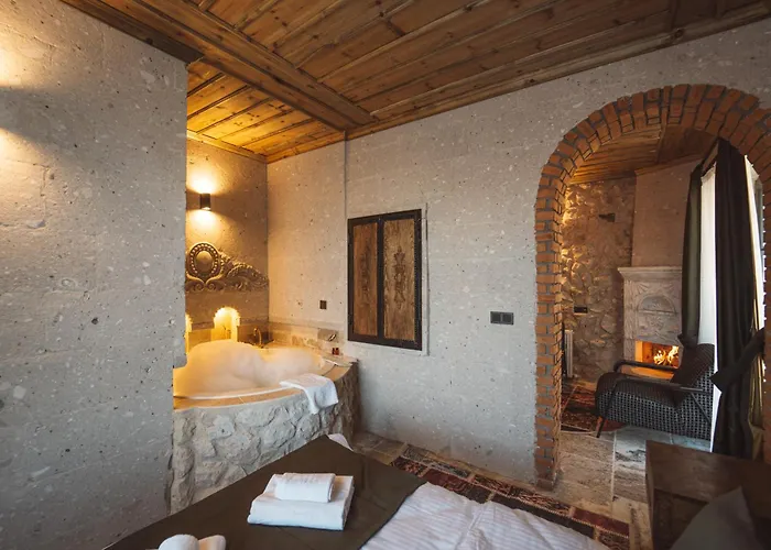 Hostel Alin Stone House *