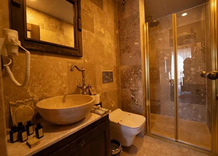 Alin Stone House 旅馆 内夫谢希尔