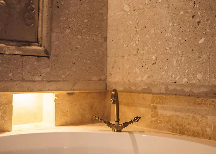 旅馆 Alin Stone House 内夫谢希尔