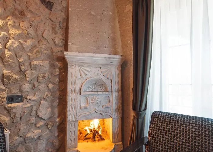 Hostel Alin Stone House *