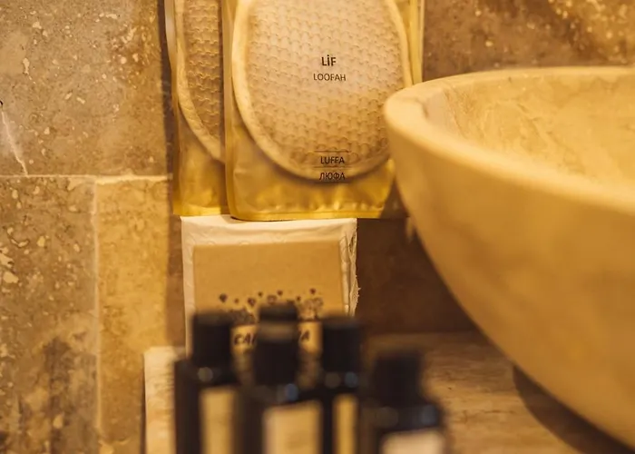 旅馆 Alin Stone House *