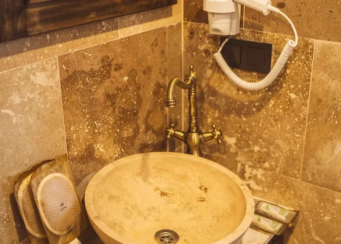 Hostel Alin Stone House *