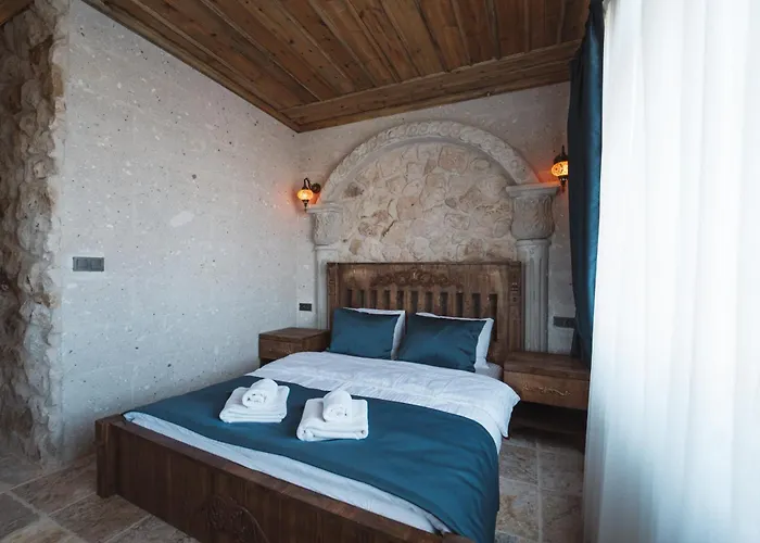 旅馆 Alin Stone House 内夫谢希尔