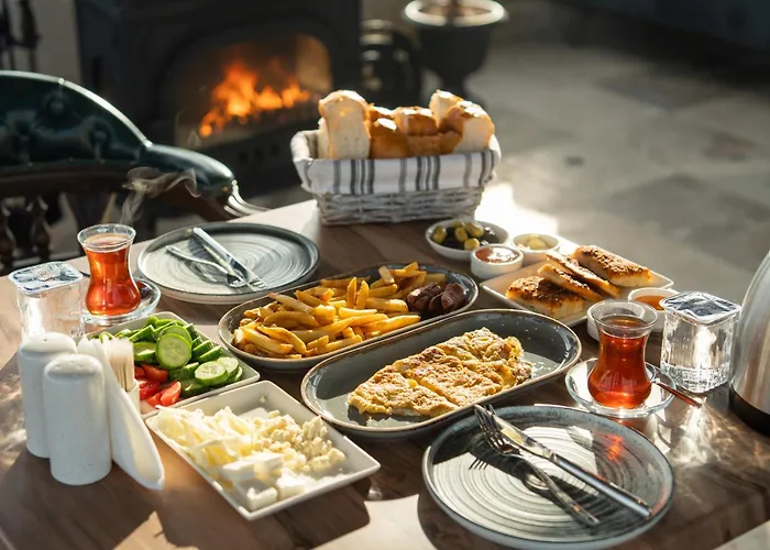 Hostel Alin Stone House *